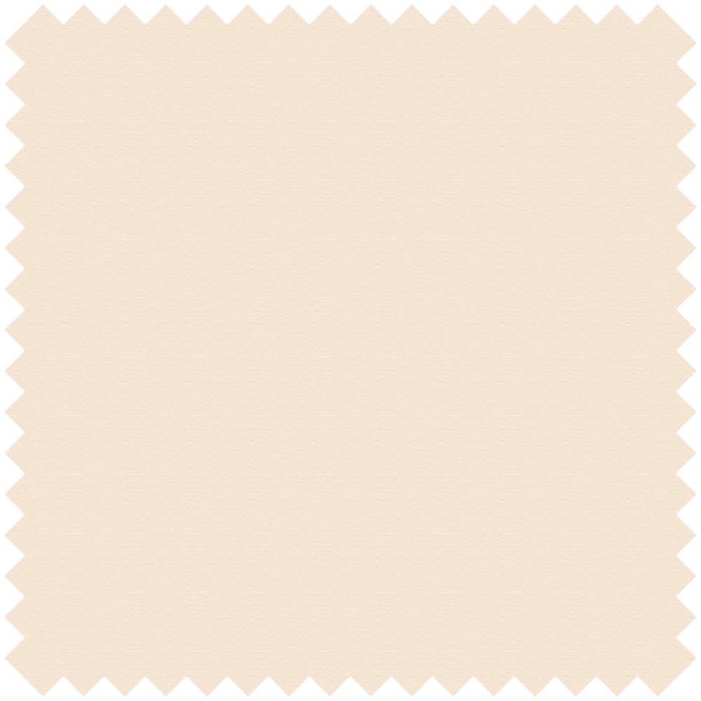FABRIC BASIC DIMOUT FR BEIGE-01.65115/09